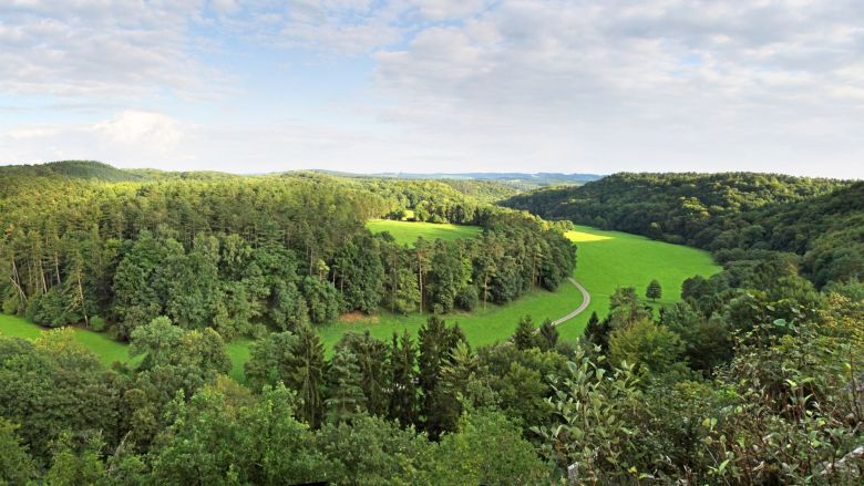 Les 250 hectares du parc animalier vont à nouveau pouvoir accueillir du public. / © Document remis