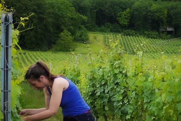 Eve Maurice dans ses vignes, en arrière plan la cabane Folies
