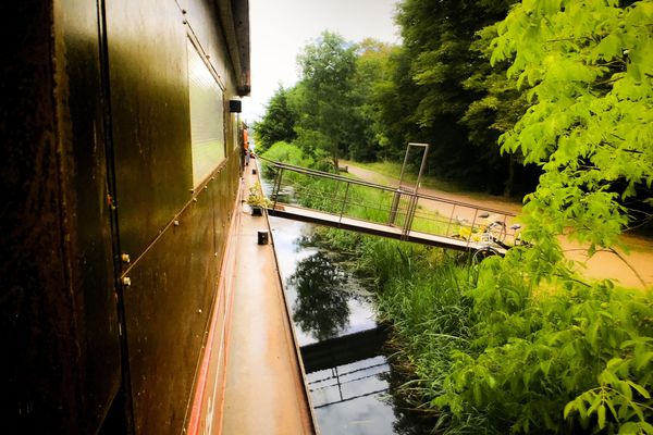 La péniche est amarrée le long d'un chemin de halage riche de flore et de faune