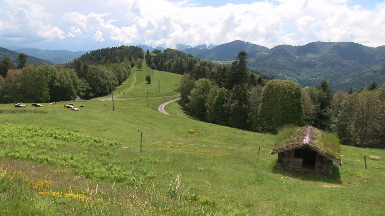 La vue depuis la ferme-auberge du Schafert / © Vincent Roy / France Télévisions