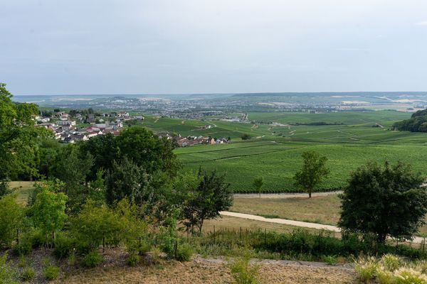 La vue sur Champillon et Épernay, depuis la suite Joséphine du Royal Champagne
