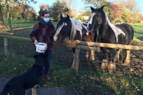 Une proximité bienvenue avec les animaux de l'Arche de Noé, mais le visiteur se fait rare en pleine crise sanitaire de Covid