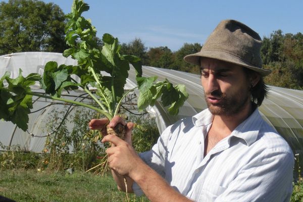 Baptiste Galissot et ses légumes bios sont désormais labellisés "Esprit Parc National"