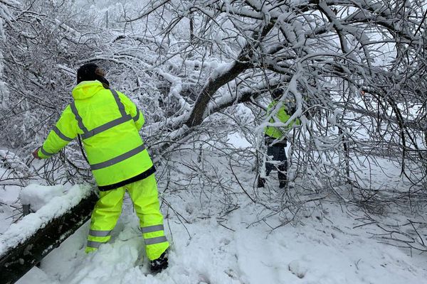 Il faut du temps pour scier et dégager les arbres tombés sur les routes
