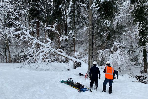 Des arbres tombés sur les poteaux électriques, signifie aussi courant à rétablir