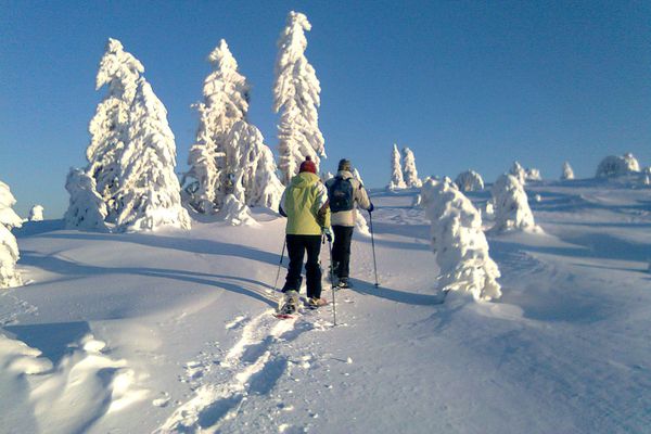 Ballade en raquettes dans les Vosges