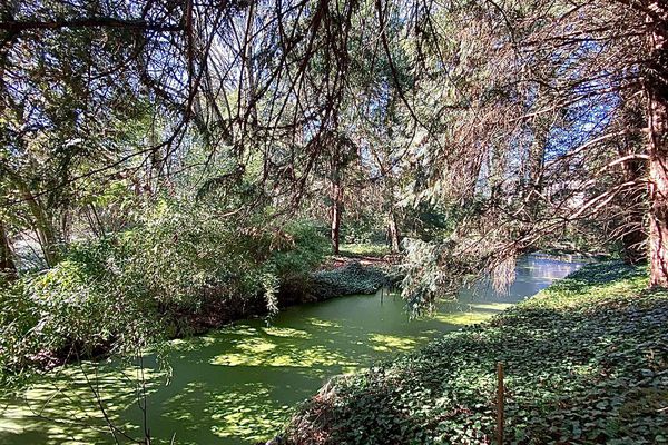 Le projet s'inscrira dans une véritable bulle verte en plein centre-ville de Colmar