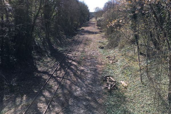 Les pourtours de la voie nettoyés : la promesse de balades à pied en attendant les vélorails