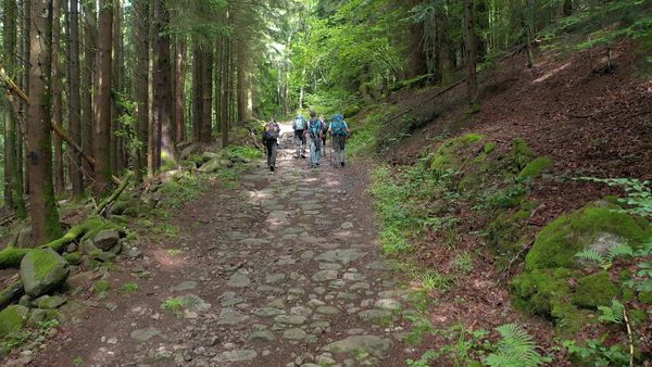 Le « chemin de pierre ».