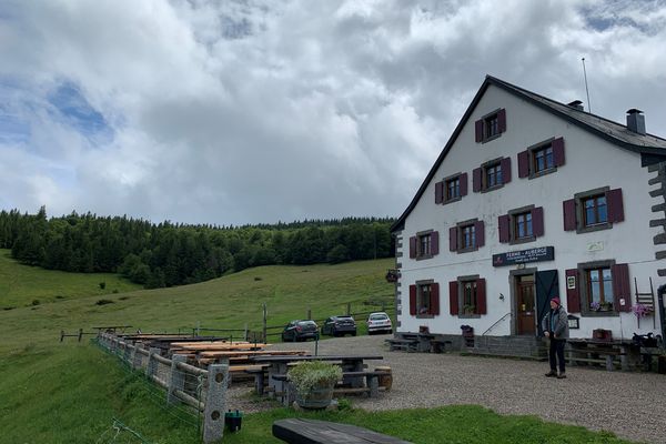 Moins de monde mais des pâturages qui se refont une santé autour de la ferme-auberge du Kahlenwasen.